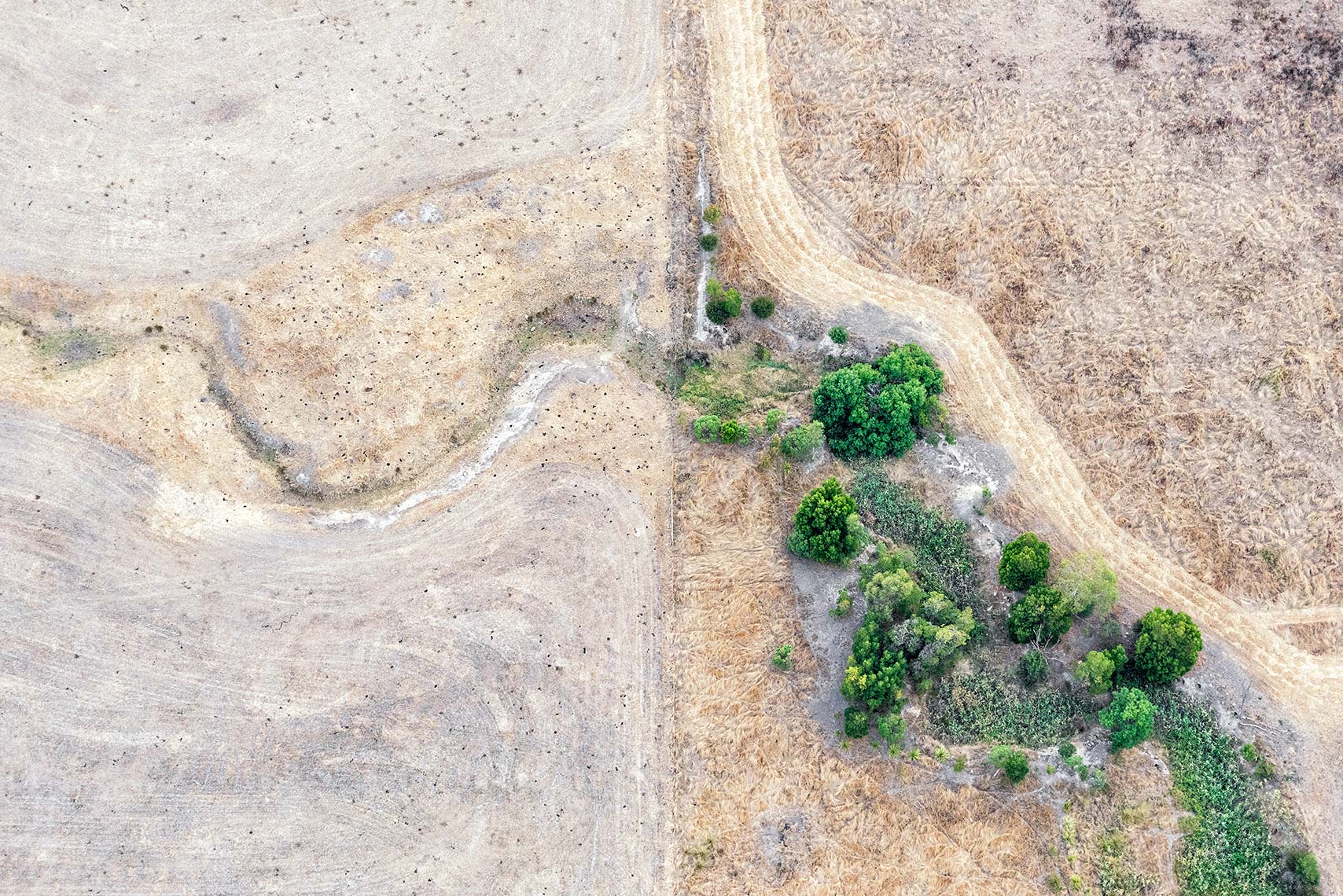 Aerial Landscape Hint of Green