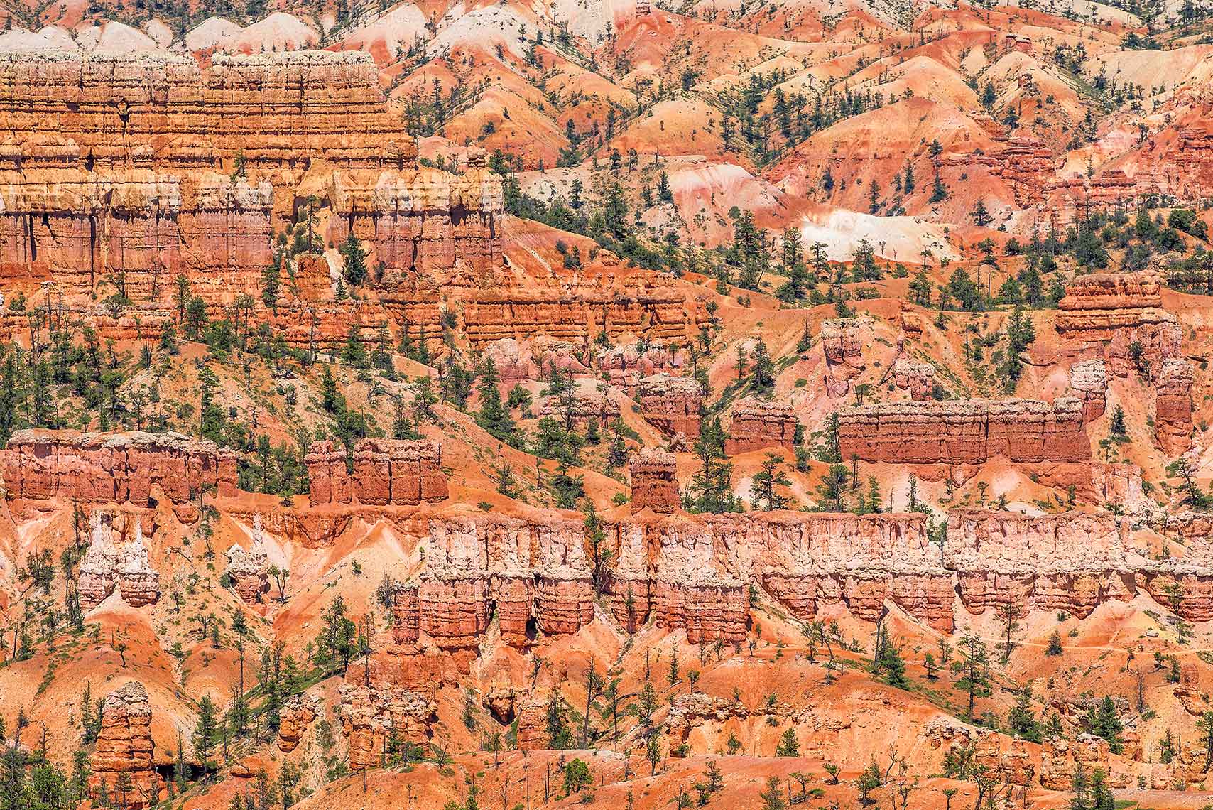 Landscape Bryce Canyon